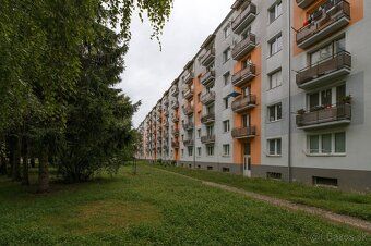 Oferujemy na sprzedaż częściowo wyremontowane dwupokojowe