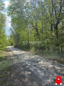 XEMAR (or 0915 870 350) offers for sale an attractive investment plot with area of 15,400 m²…