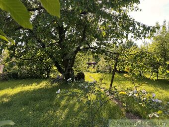 Do you enjoy spending time in nature, growing your own fruit and vegetables, or are you an avid fisherman?