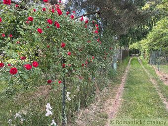 Do you enjoy spending time in nature, growing your own fruit and vegetables, or are you an avid fisherman?