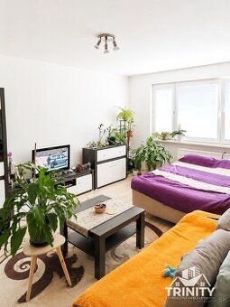 Dám do dlhodobého prenájmu úplne vyprataný a vymaľovaný byt 