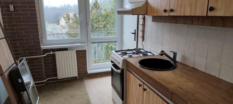 Dám do dlhodobého prenájmu úplne vyprataný a vymaľovaný byt 