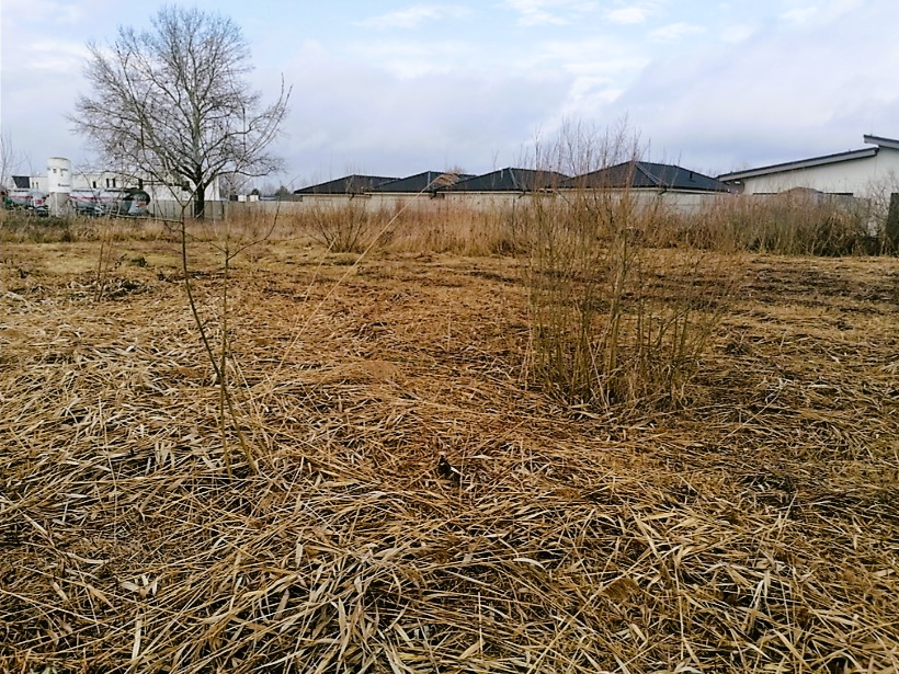 Ponúkame Vám na predaj rovinatý stavebný pozemok v intravilá