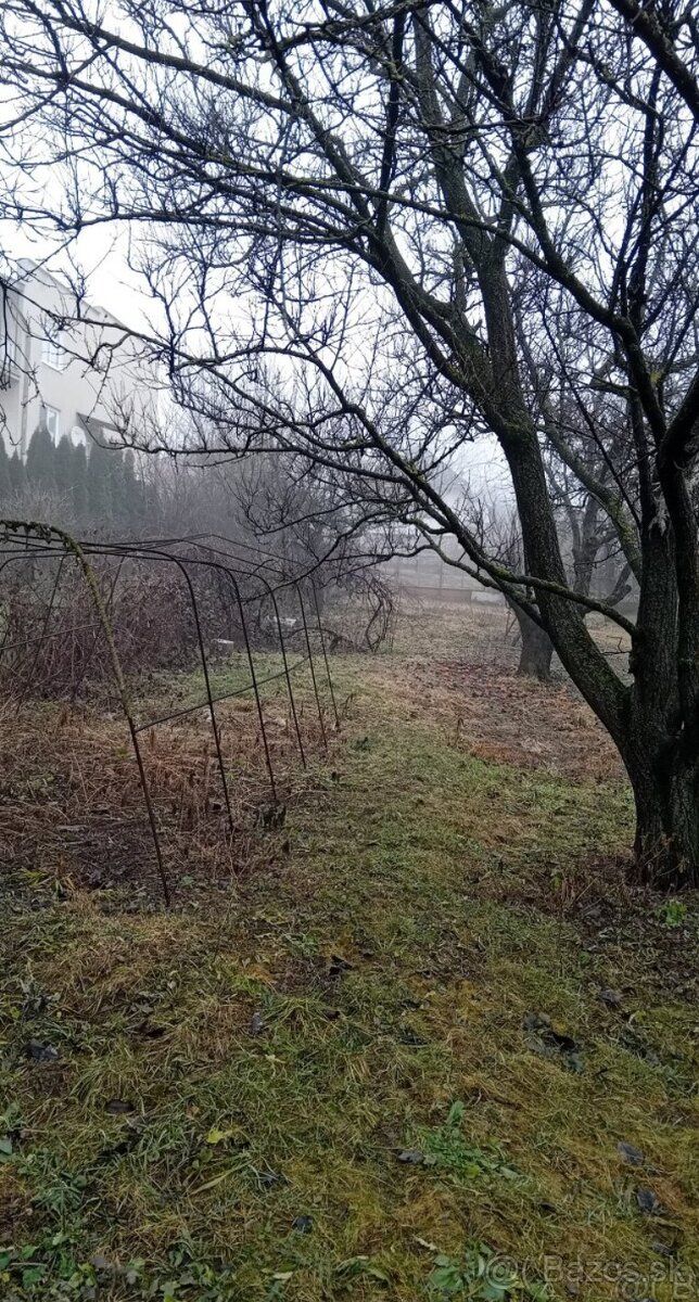 Na sprzedaż ogród o powierzchni 685 m2 w miejscowości Poproč.