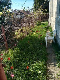 REALITY GOLD - Bratislava s.r.o. offers for sale a 3-bedroom family house in Nové Zámky