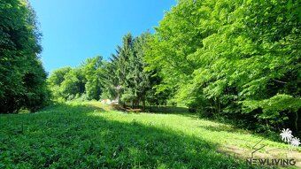 FOR SALE: A Cottage in Solitude with Soul and Generous Land Size – Výtoky near Moravany nad Váhom