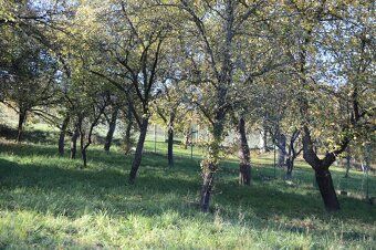 I offer for sale an older family house in its original condition in the village