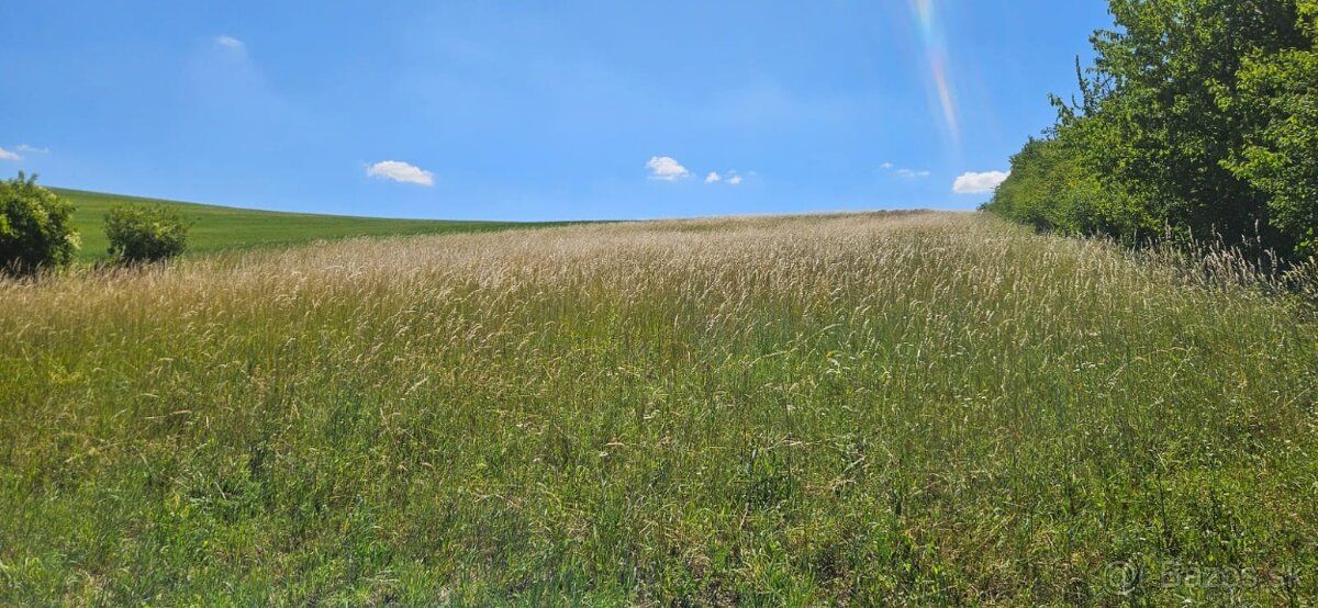 Продам сільськогосподарську земельну ділянку, зареєстровану як ріллю (але частково з…
