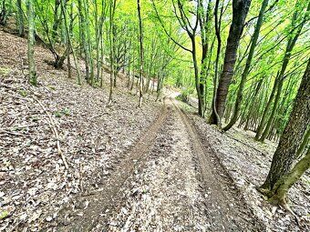 IMG real ponúka na predaj krásny pozemok na samote v obci Vy