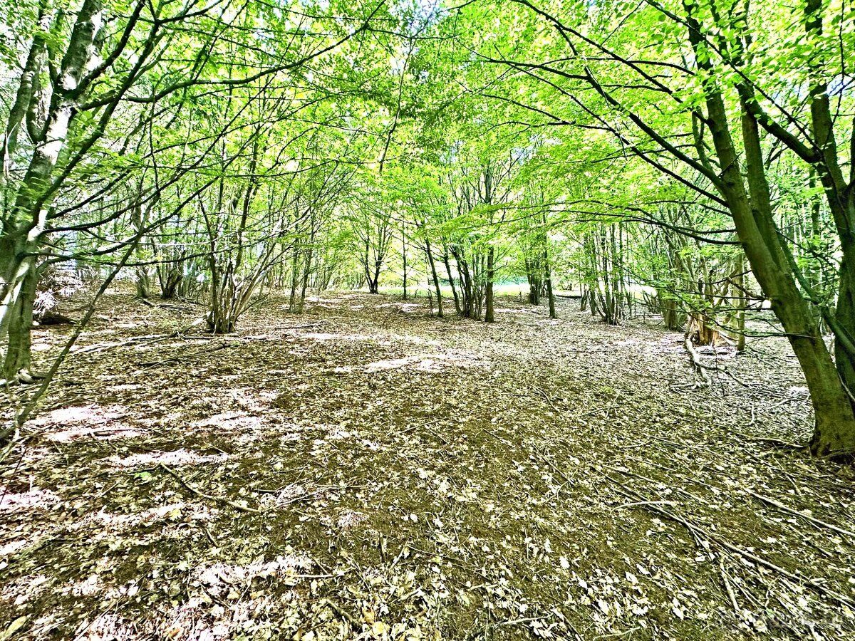 IMG real ponúka na predaj krásny pozemok na samote v obci Vy