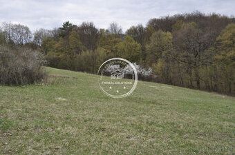Ponúkame Vám na predaj rekreačný pozemok o výmere 2418 m 2 v