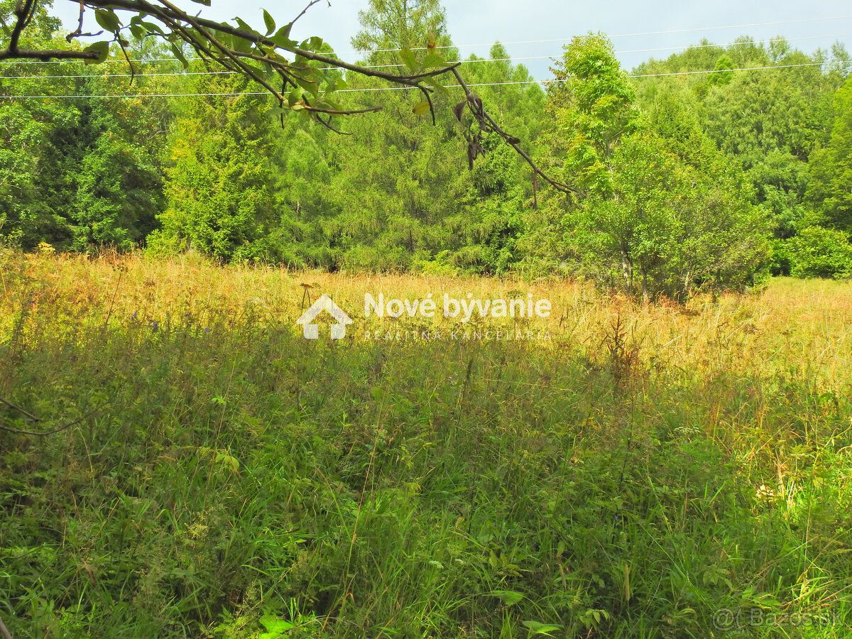 Typ: Poľnohospodárske a lesné pozemky Obec: Jezersko
Na pred