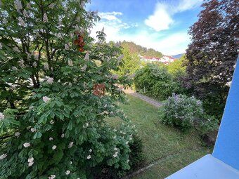 AstonReal ponúka na PREDAJ: 1 izbový byt 30 m2, (typ BAURING