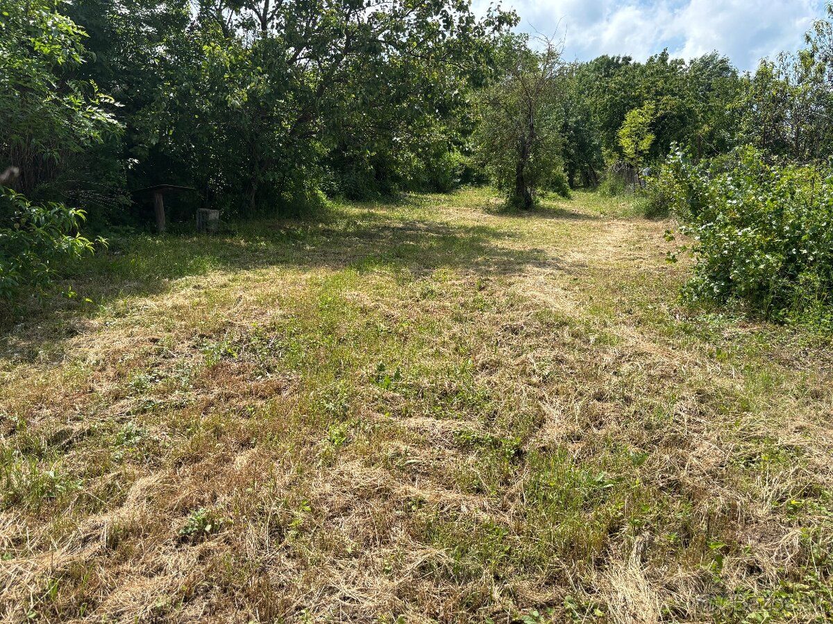 Ponúkam na predaj samostatnú záhradu o výmere 1004 m², ktorá