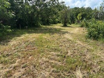 Ponúkam na predaj samostatnú záhradu o výmere 1004 m², ktorá
