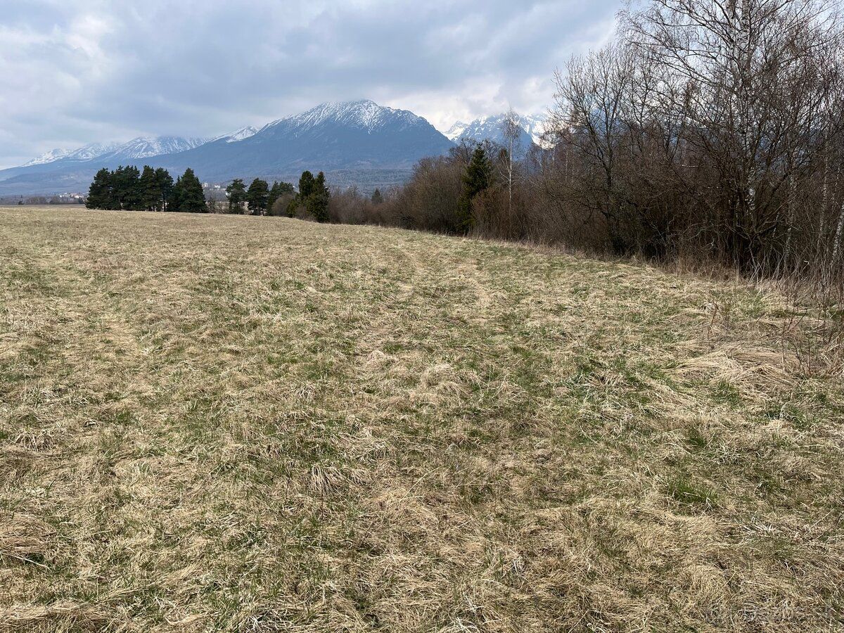 Predám pozemok v extraviláne Nová Lesná . Krásny výhľad na V