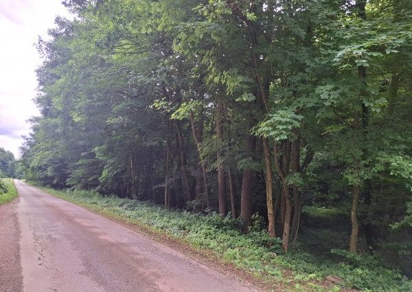Predám pozemok v doline - Antonstál vo výmere - 772 m², evid