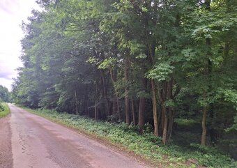 Predám pozemok v doline - Antonstál vo výmere - 772 m², evid