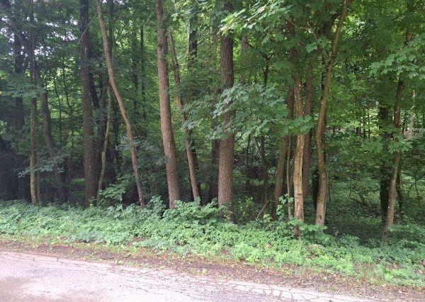 Predám pozemok v doline - Antonstál vo výmere - 772 m², evid