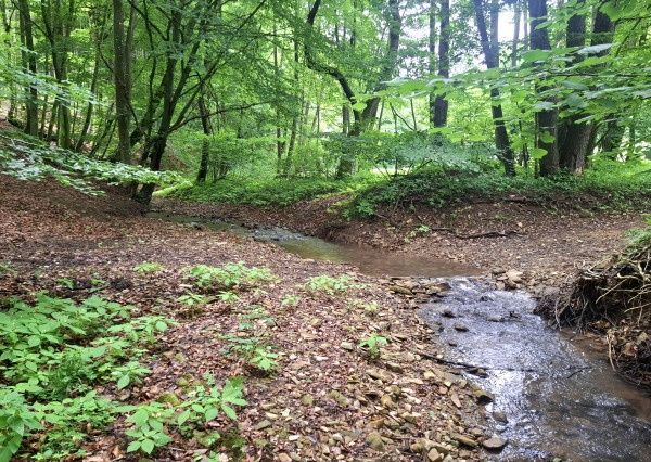 Predám pozemok v doline - Antonstál vo výmere - 772 m², evid