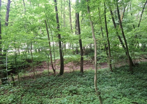 Predám pozemok v doline - Antonstál vo výmere - 772 m², evid