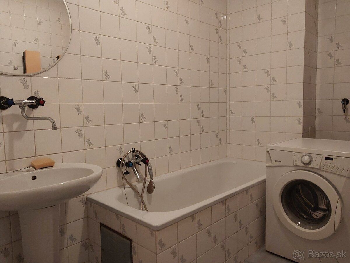 Prenajmem tichú izbu s príslušenstvom (samostatnou kupeľňou,