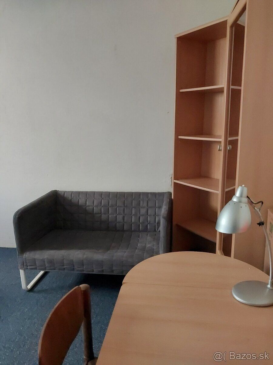 Prenajmem tichú izbu s príslušenstvom (samostatnou kupeľňou,
