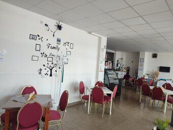Odstúpenie prevádzky Dôvod zdravotné problémy Odstupim prevá