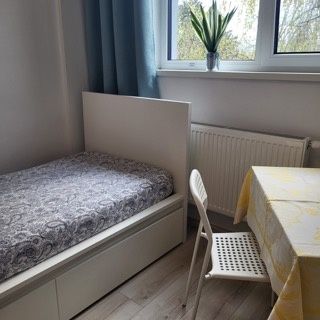 ✨ ŠTÝLOVÁ GARSÓNKA V NOVOSTAVBE | IHNEĎ VOĽNÁ | BRATISLAVA –