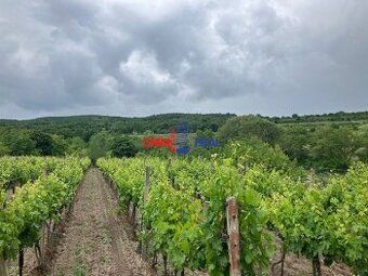 Ponúkame na predaj súbor 2 parciel – vinice a ornej pôdy v k