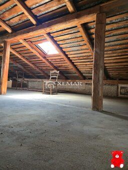 XEMAR ( alebo 0915 870 350) ponúka na predaj priestranný rod