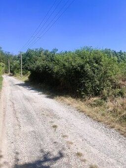 Ponúkame Vám na predaj slnečný, rovinatý rekreačný pozemok v