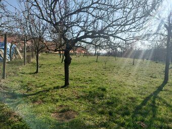 For sale beautiful spacious land plot of 600 m2 (30 x 20)