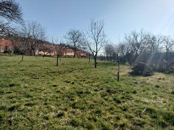 For sale beautiful spacious land plot of 600 m2 (30 x 20)