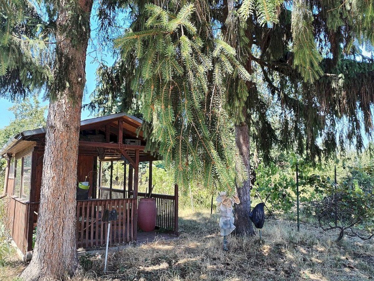 V súčasnosti, kedy je úroda vlastného ovocia a zeleniny veľk