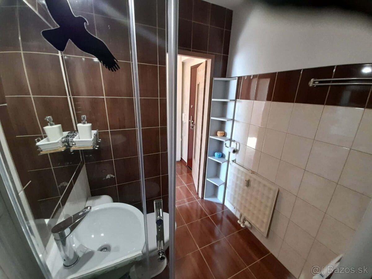 Ponukam Vam na prenajom krasny 1 izbovy byt v Dunajskej Stre