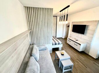 Byt má výmeru 33 m² a disponuje loggiou (7 m²). Nachádza sa 