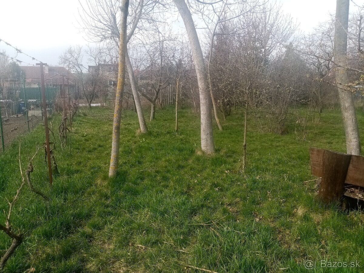 Predám pozemok v obci Zbehy 80€/m2. Už sa buduje kanalizácia