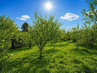 Ponúkame na predaj záhradu s chatou v ZO pod Rovencom v Novo