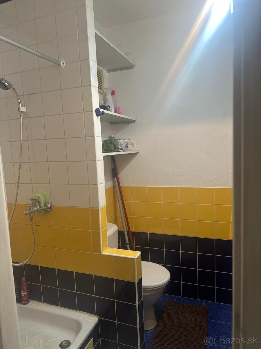 Ponúkam na prenájom väčšiu garsónku, 25m2 s balkónom, na dru