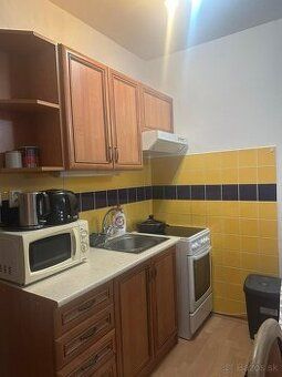 Ponúkam na prenájom väčšiu garsónku, 25m2 s balkónom, na dru