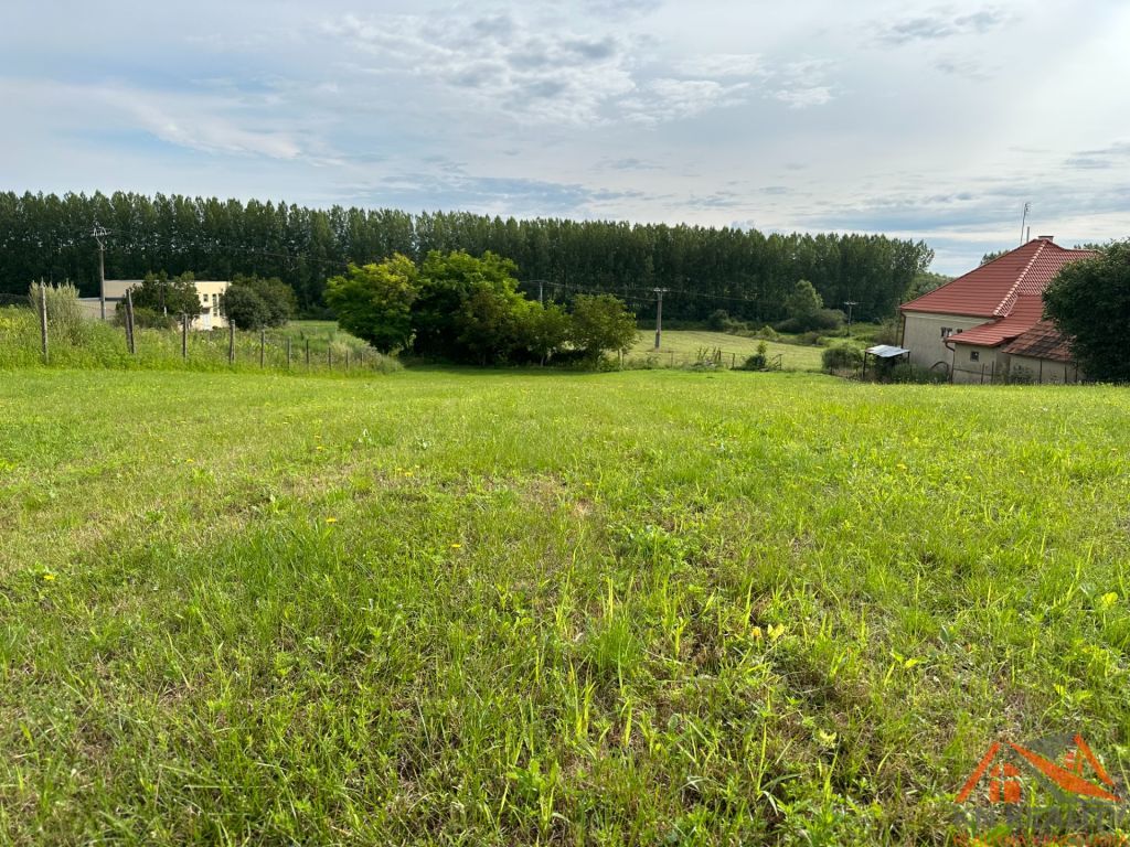 Szilárd Jánosfalvi - KN REALITY exkluzívne Vám ponúka na pre