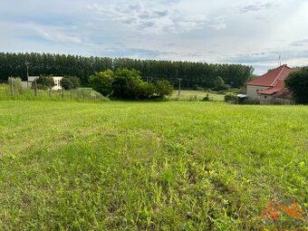 Szilárd Jánosfalvi - KN REALITY exkluzívne Vám ponúka na pre