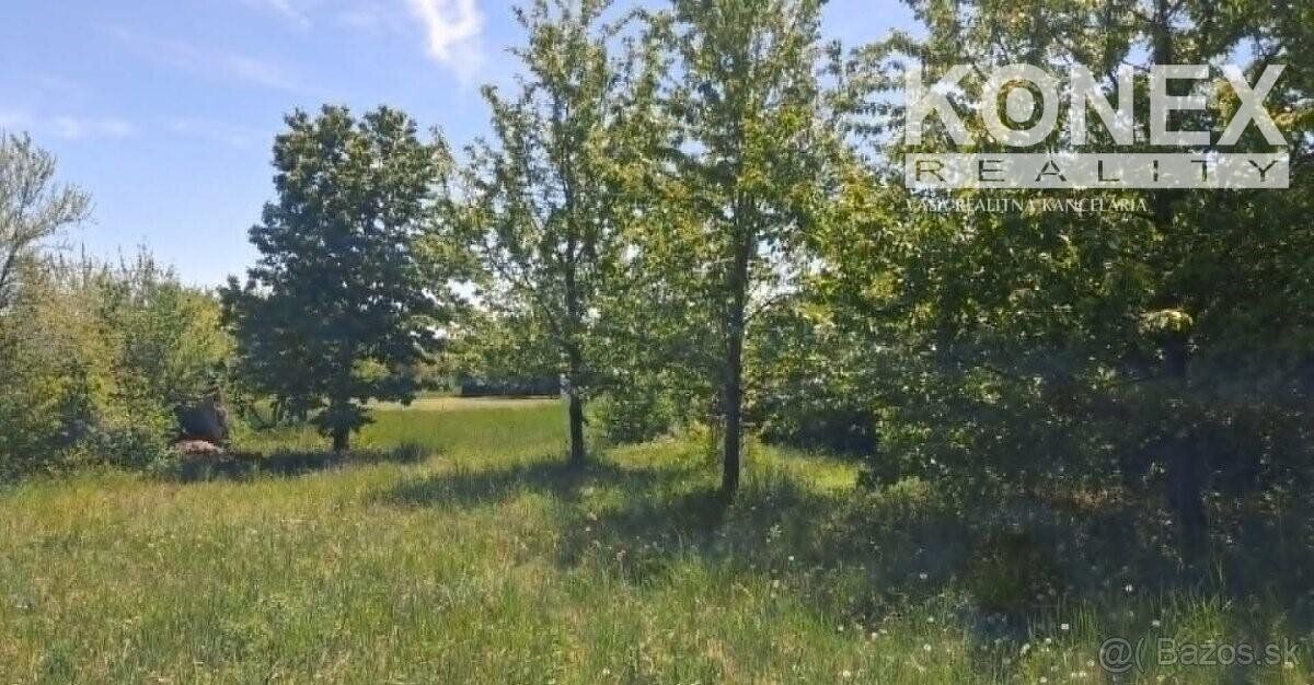 ID:3996 Ponúkame na predaj rekreačný pozemok s chatkou v záh