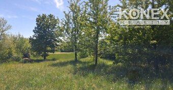 ID:3996 Ponúkame na predaj rekreačný pozemok s chatkou v záh