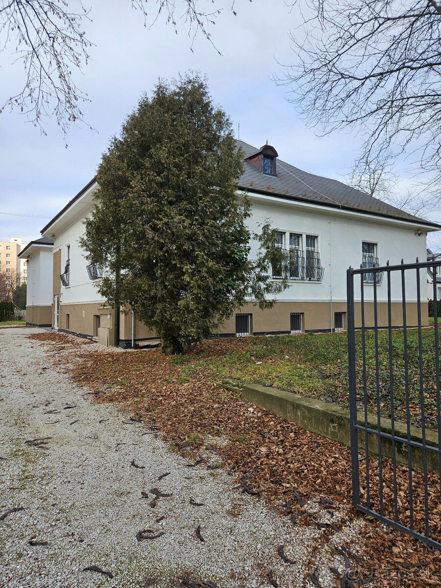 Prenajmem budovu v centre Nového Mesta nad Váhom, využívanú 