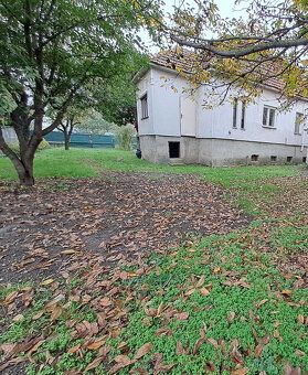 Prenájom 2 – izbový rodinný dom v meste Šurany - Centrum . V