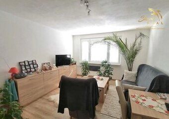 Prenajmeme dlhodobo/kratkodobo cistu, novo zariadenu izbu v 