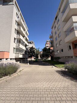 Ponúkame na prenájom nadštandardne veľký, útulný a slnečný 1