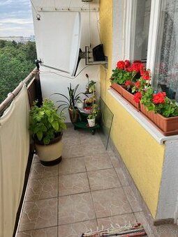 Ponúkam na prenájom novostavbu 2 izbový byt v časti Ovocné s